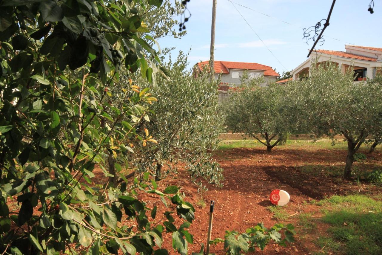 Apartments With A Parking Space Ugljan - 8479 Εξωτερικό φωτογραφία